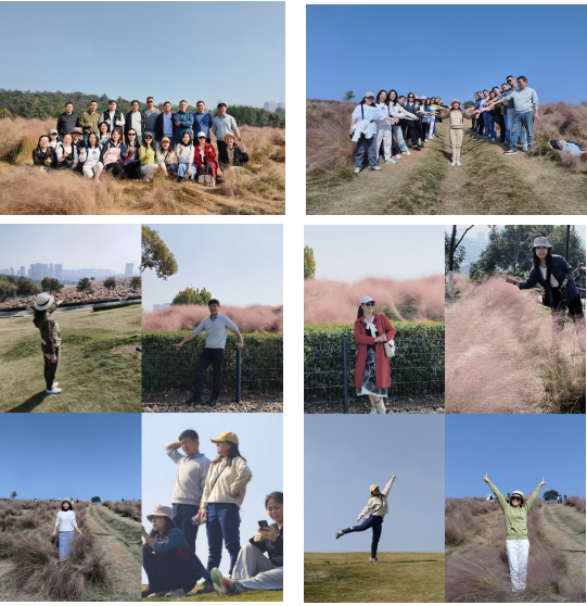 11月5日的光谷二妃山公园秋意盎然。资产公司20余名员工兴致勃勃地参加了公司工会组织的“漫步粉黛赏秋韵，拾趣田园采...