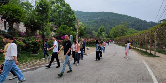 http://mci.hubu.edu.cn/__local/6/49/C9/D9A2459DA22A02302852CD19C39_1F473D1F_7AA1D.png
